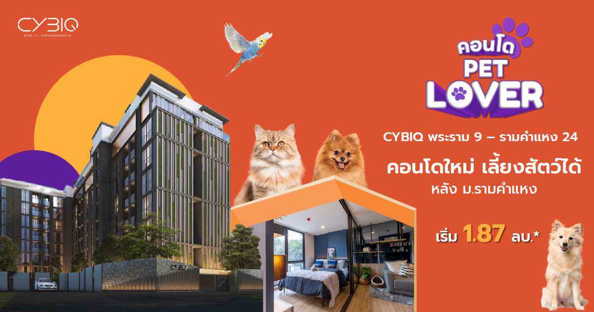 Modern Condo in BANG KAPI, Bangkok